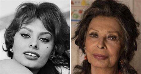 33 Pictures Of Sophia Loren, Old Hollywoods Italian Goddess